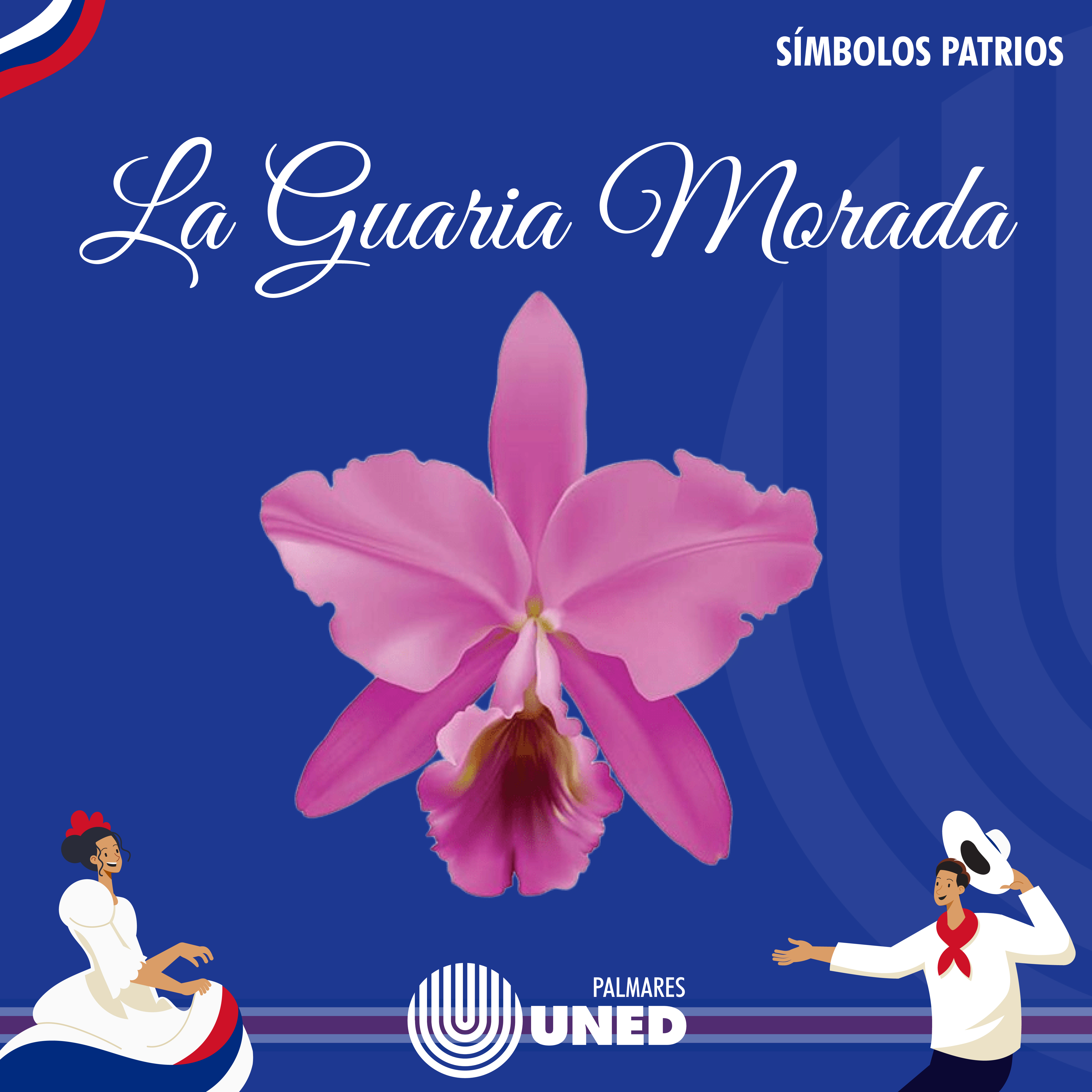 71 La Guaria Morada