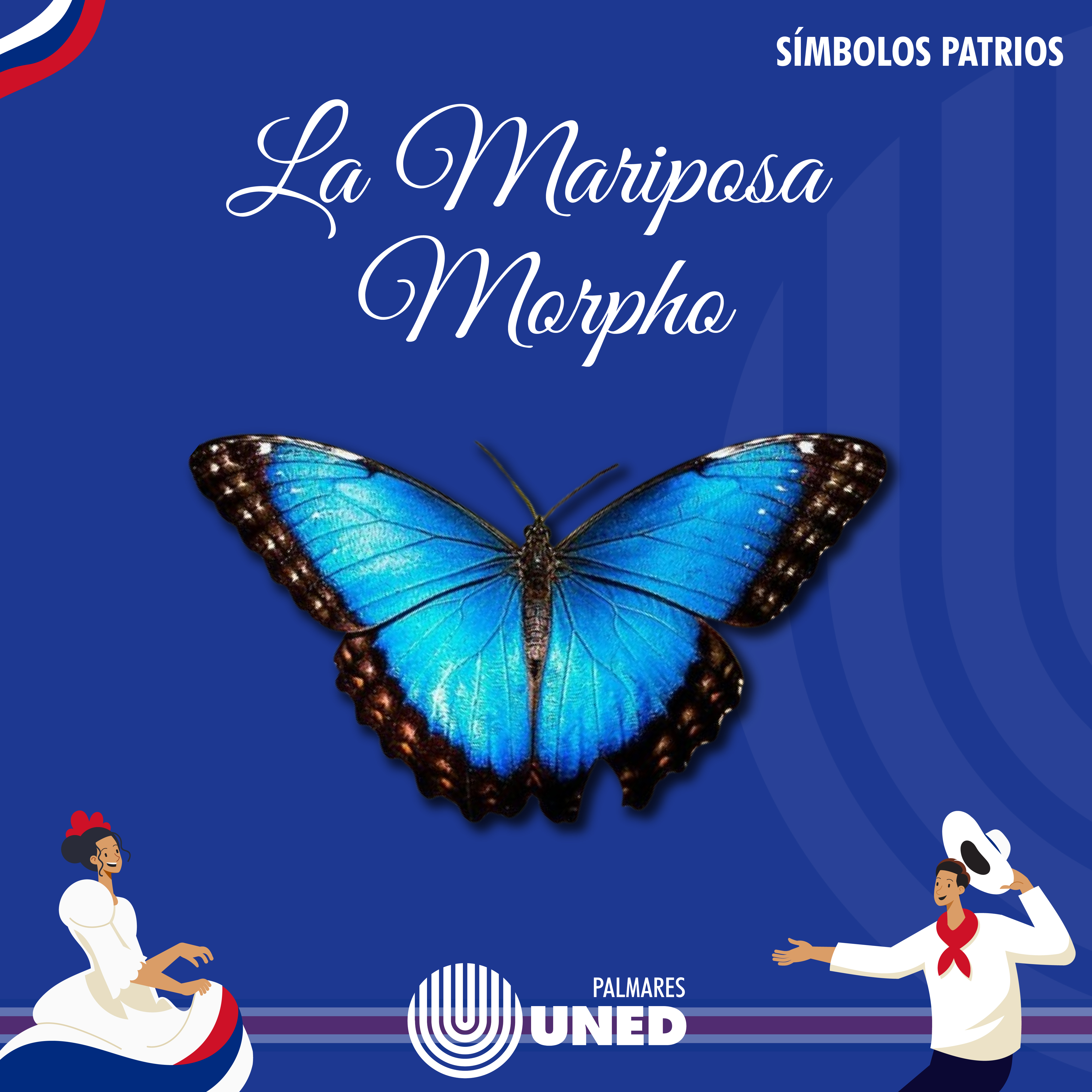 72 La Mariposa Morpho