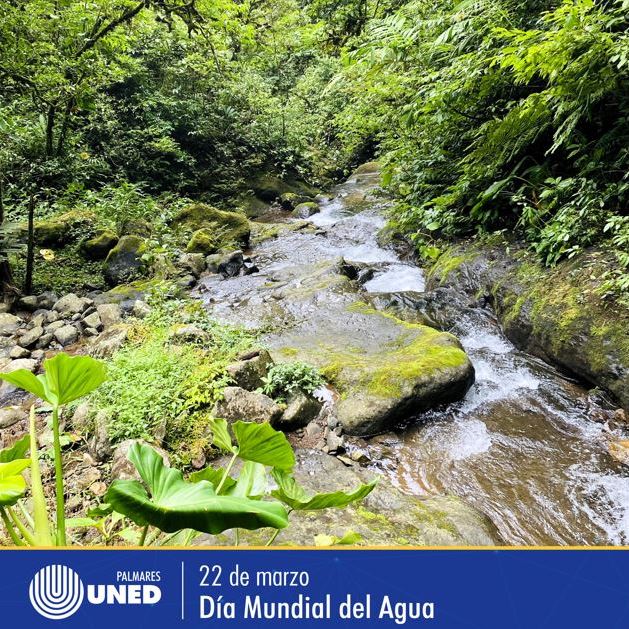 019 Día Mundial del Agua