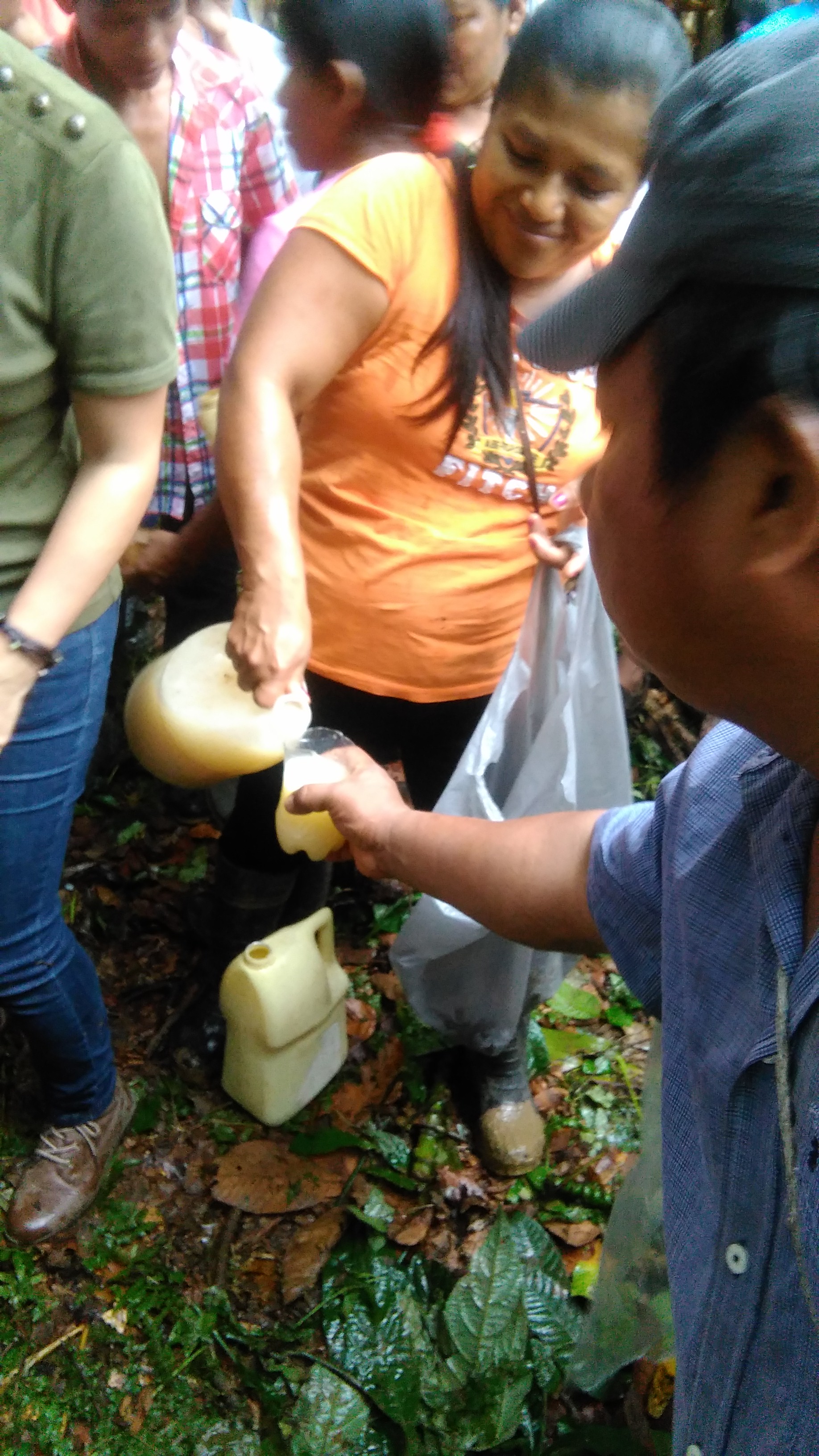 Antes de iniciar la Jala de piedra se ingiere chicha, bebida tradicional. 