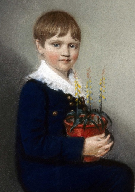 Picture1Y.jpg