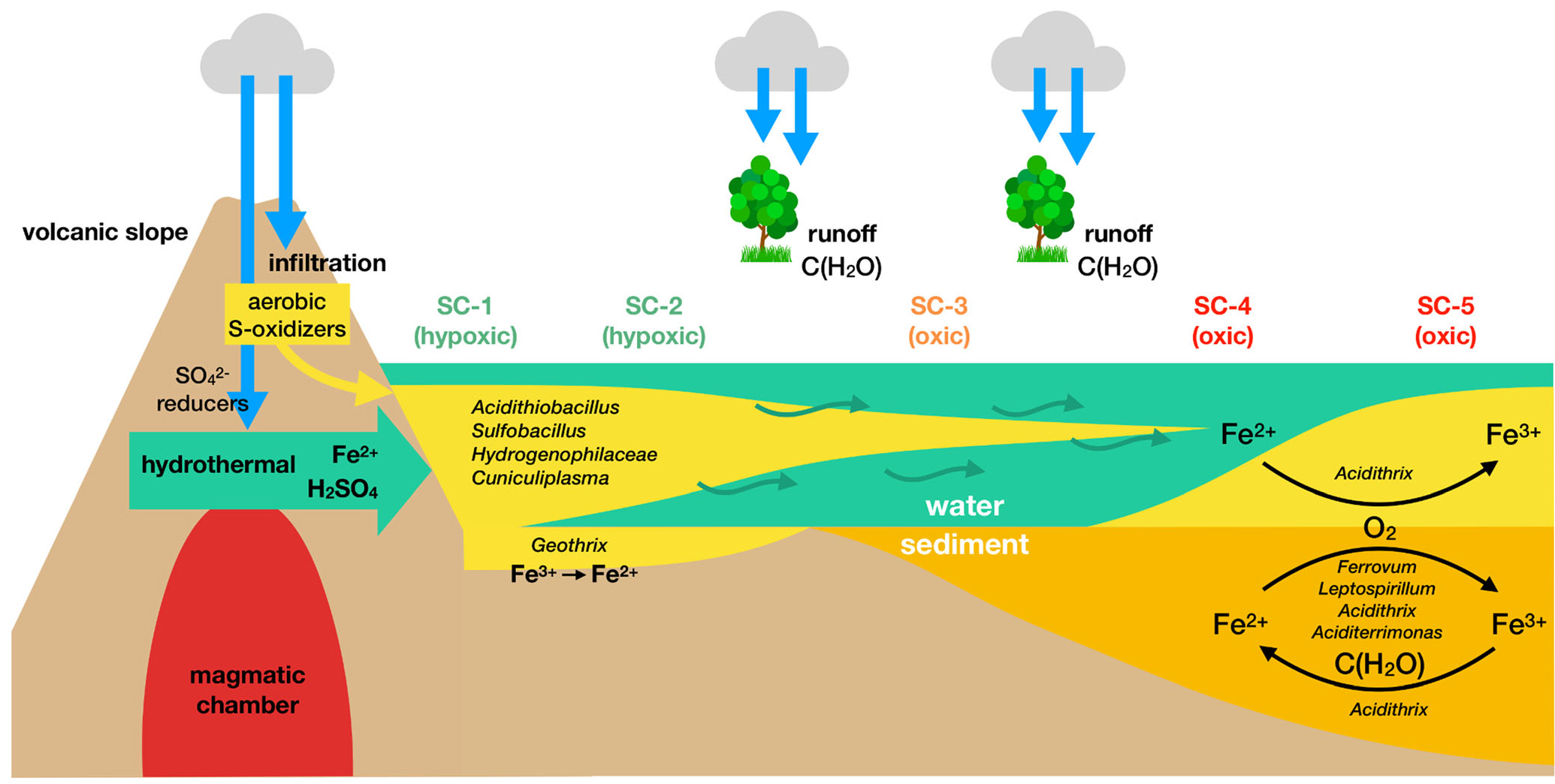 RMA 2020 Microbios río volcánico 12