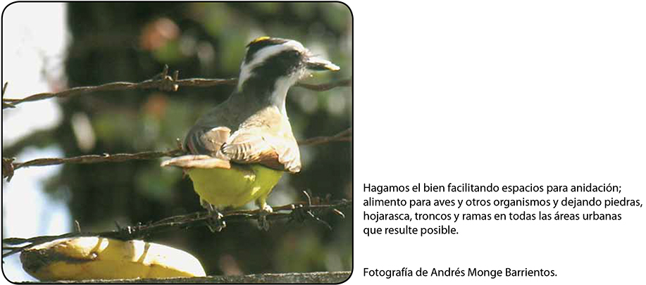 ZBL 2011 Bioética Biodiversidad 100