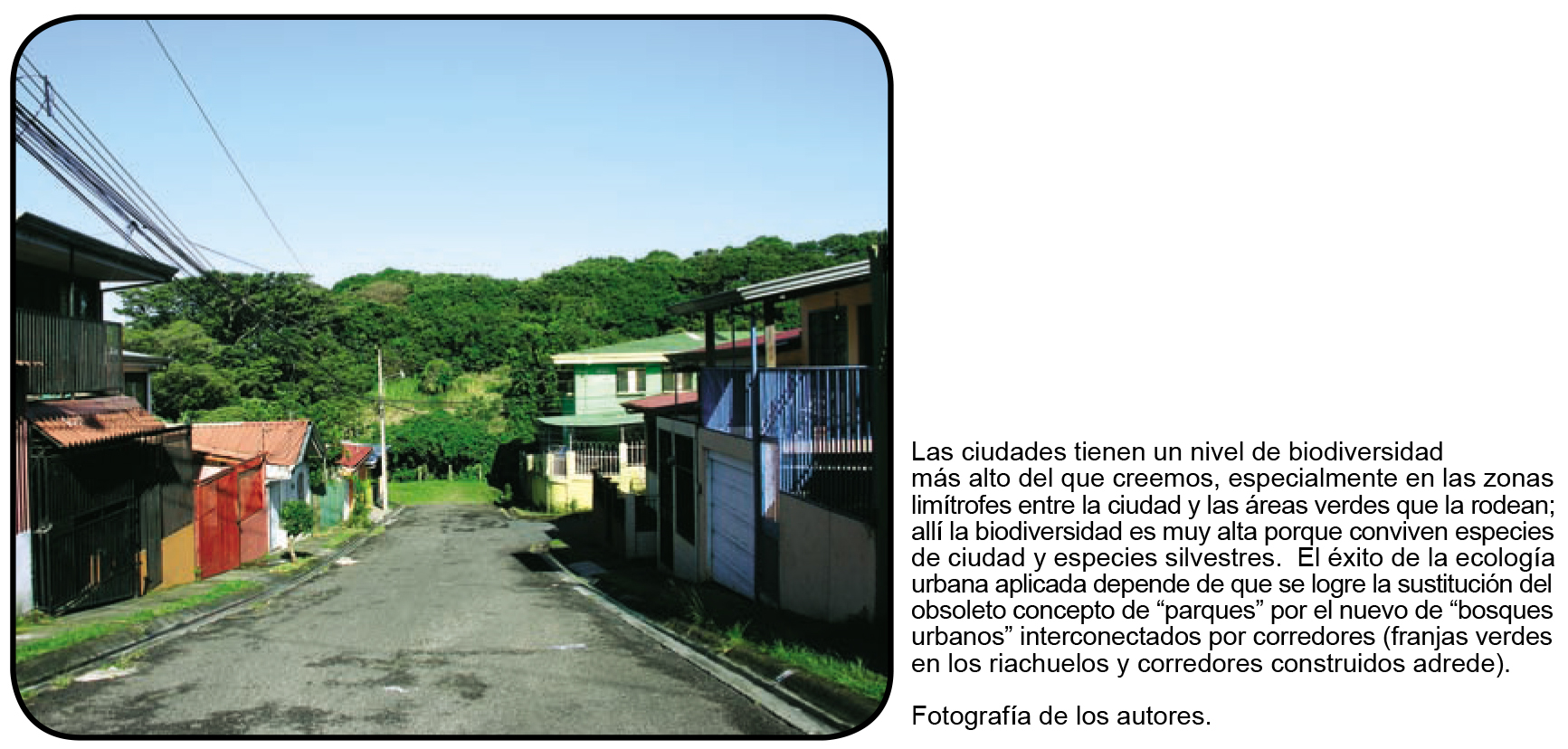 ZBL 2011 Ecosistemas urbanos 3VF