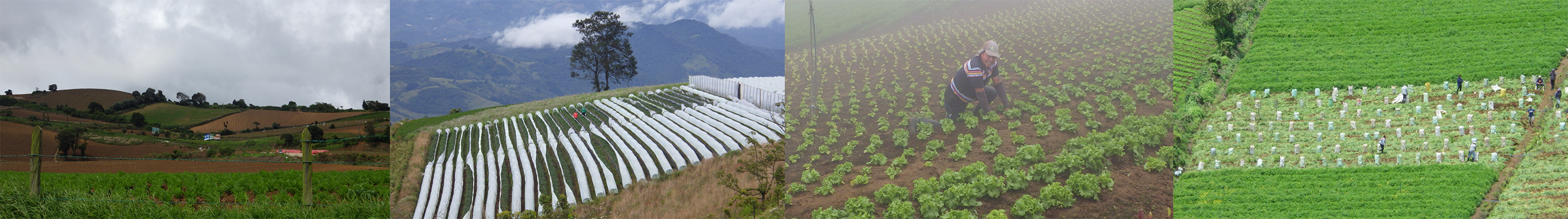 imagenes notas informativas