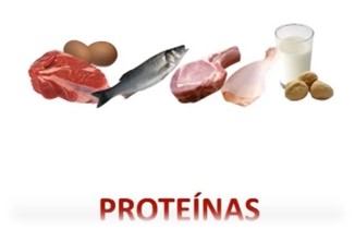 proteínas2
