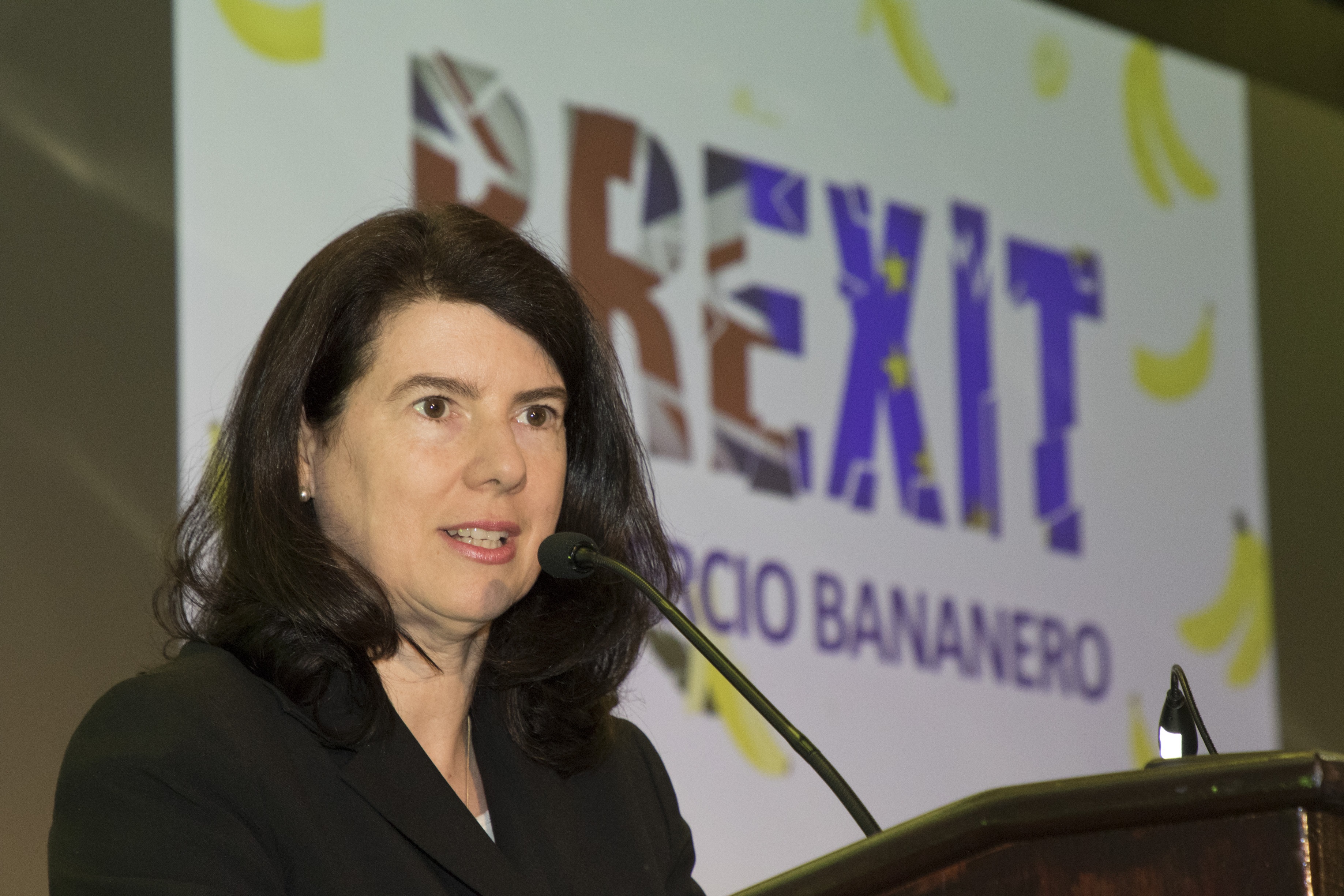 VGV brexit banano frente