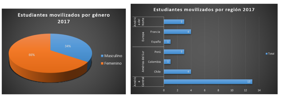 Año 2017