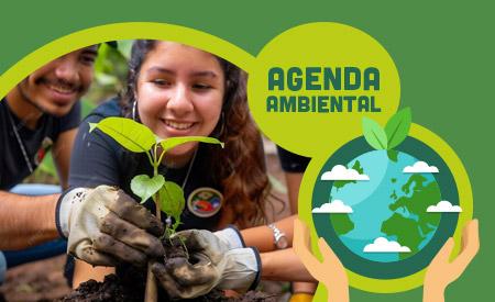 imagen de Siembra de árboles