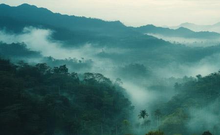 imagen de Charla: Transfiriendo el paquete tecnológico de atrapanieblas